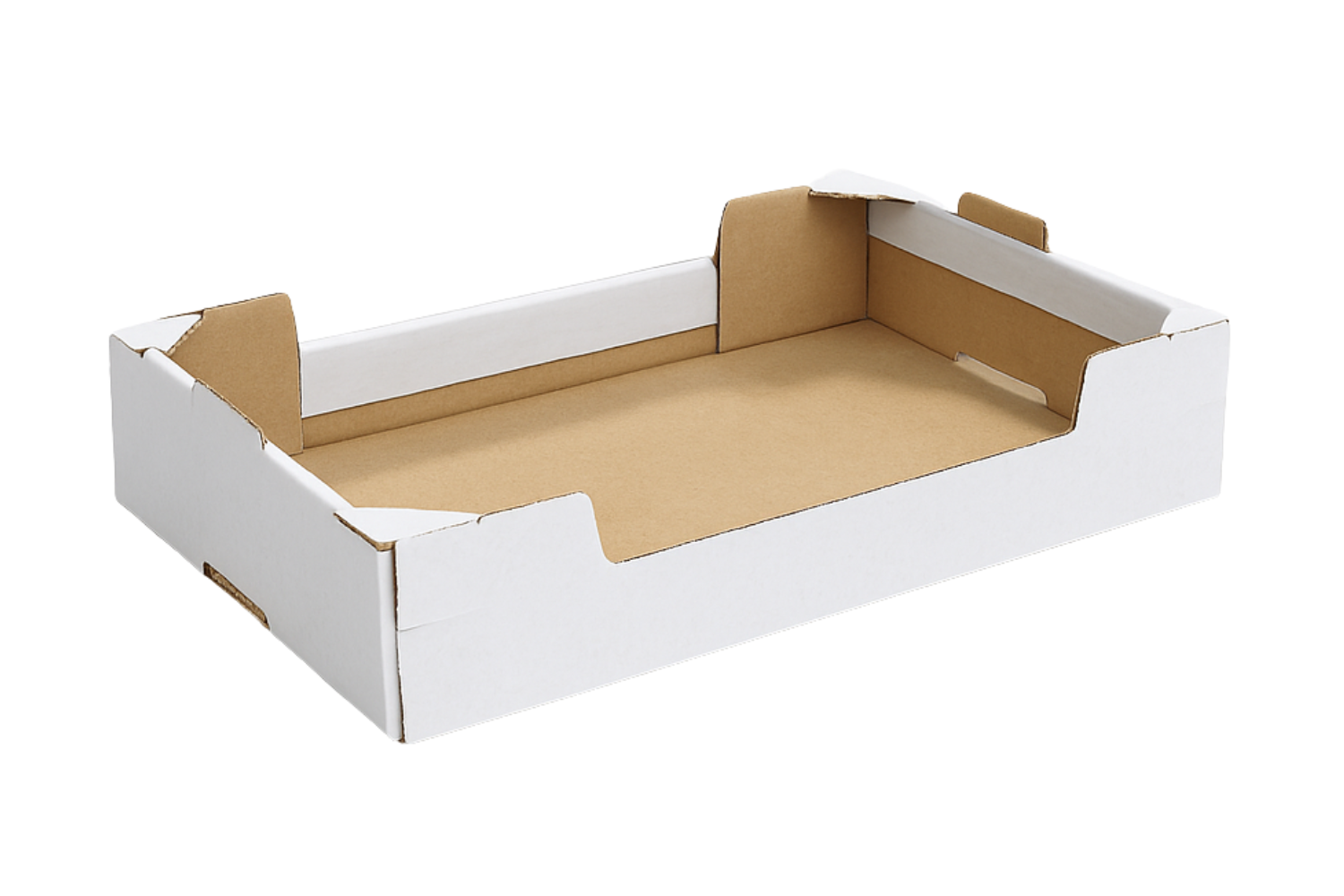 Erected tray