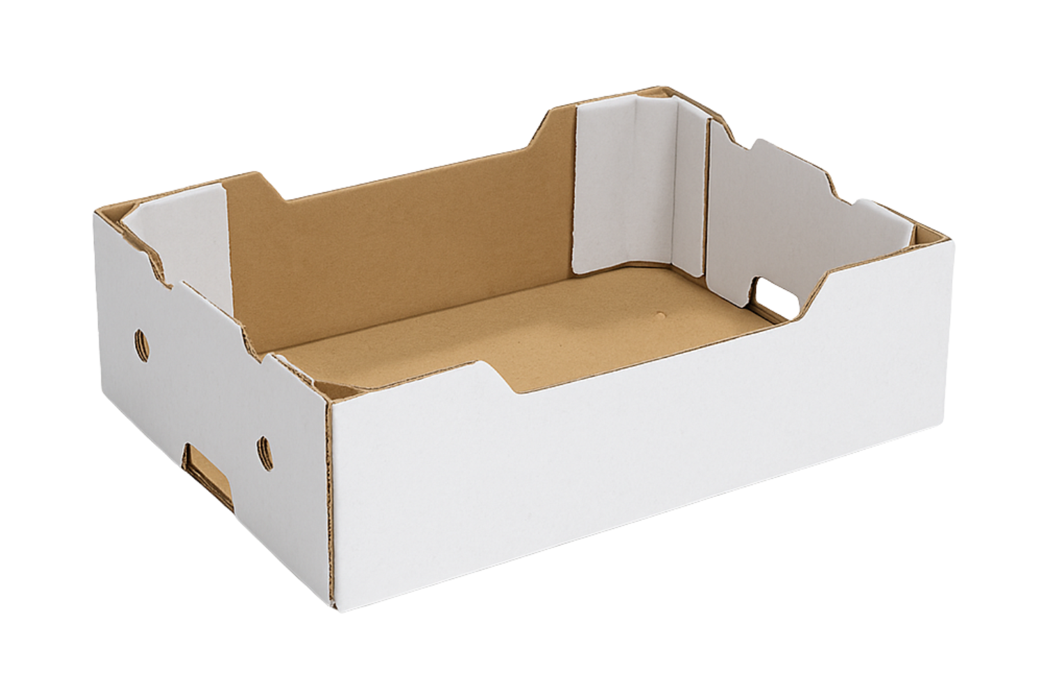 Carton punnet