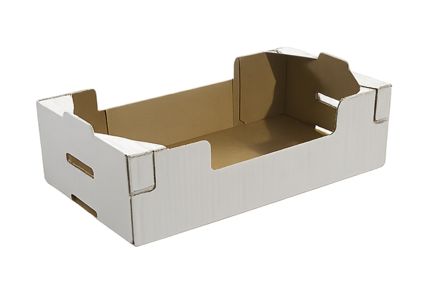 Erected carton